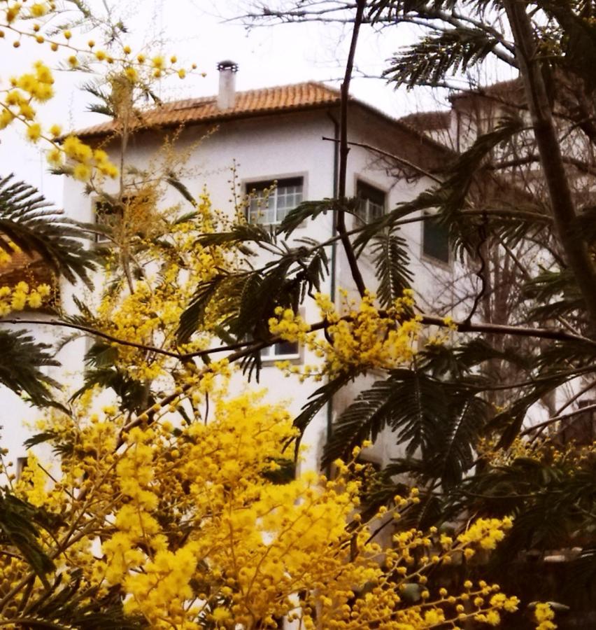 Casa Do Rio Hotel Termas de Sao Pedro do Sul Kültér fotó